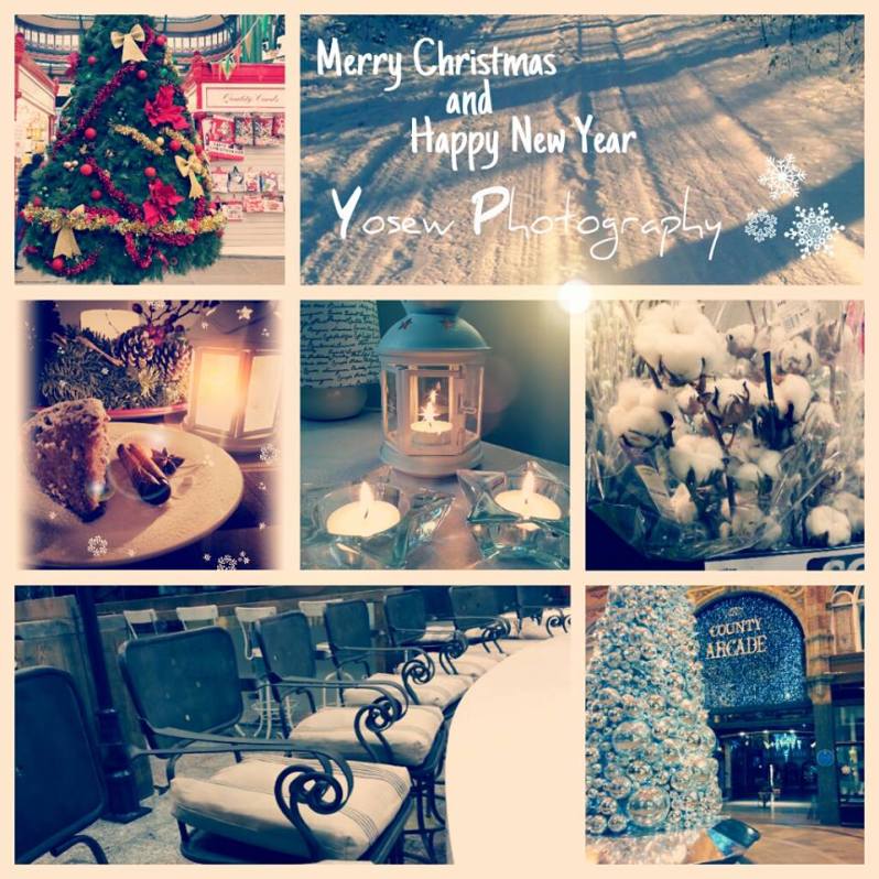 Merry Christmas festive photography